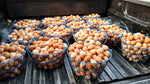 Whitehurst Farms Eggs - 1 Dozen
